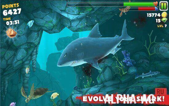 Hungry Shark Evolution  2