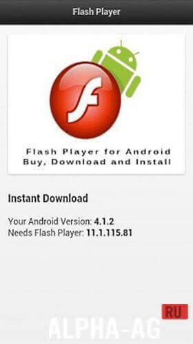  Adobe Flash Player 4