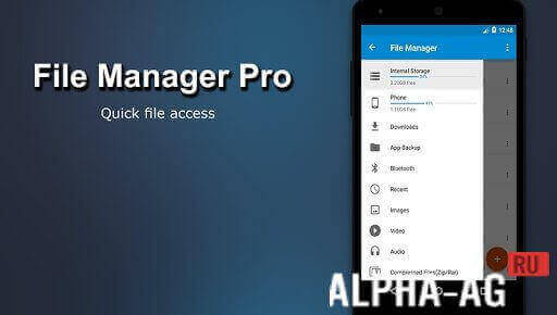 File Manager Pro  1