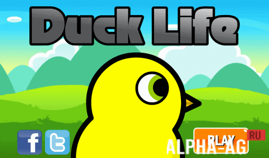 Duck Life  1