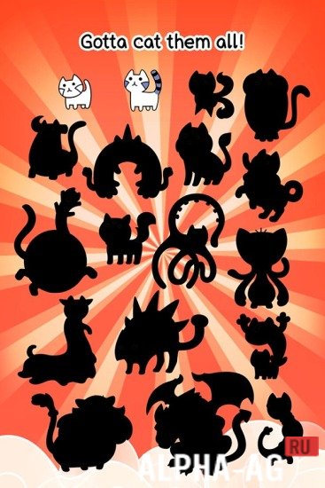  Cat Evolution  5