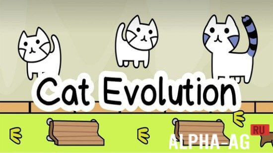  Cat Evolution  1