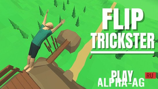 Flip Trickster  1