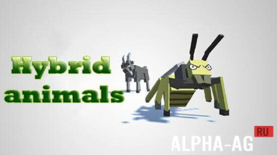 Hybrid Animals  1