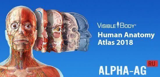 Human Anatomy Atlas  1