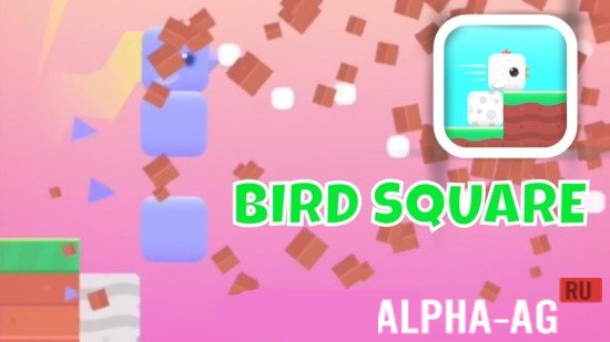 Square Bird  1