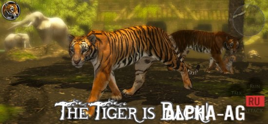 Скриншот №1