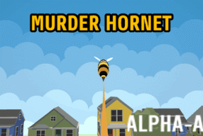 Murder Hornet