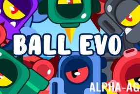 Ball Evo