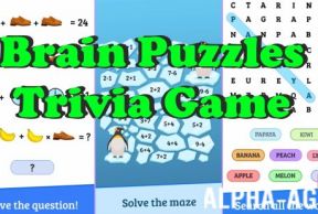 Brain Puzzles Trivia Game