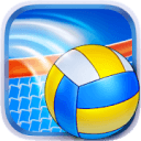 VolleyBall 3D