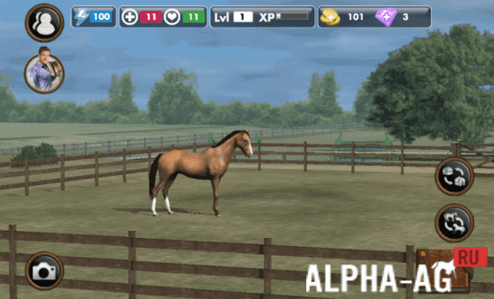 My Horse скриншот №1