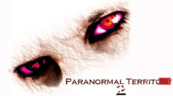 Paranormal Territory 2  1