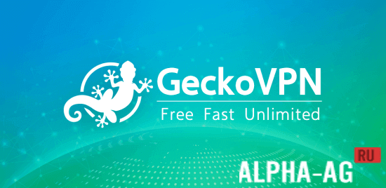 Gecko VPN Premium  1