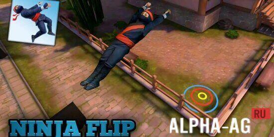 Ninja Flip  1