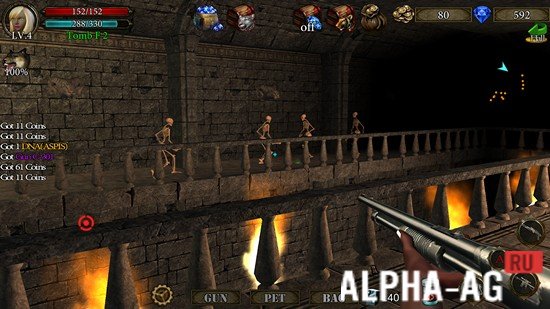 Dungeon Shooter: The Forgotten Temple  3