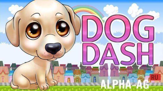 Dog Dash  1