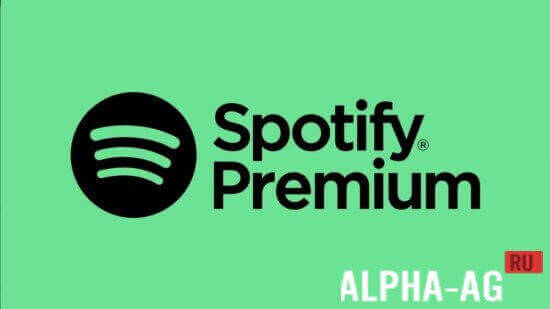 1605798480 Spotify premium