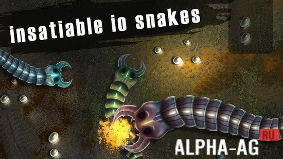 insatiable io snakes  1