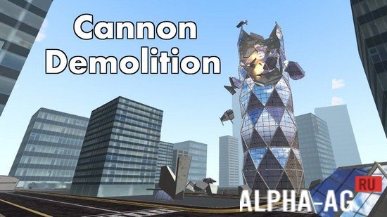 Cannon Demolition  1