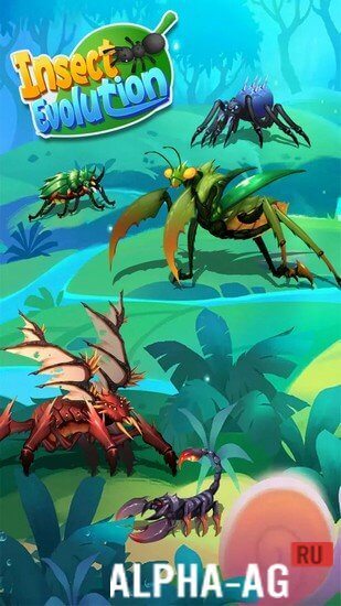 Insect Evolution  3
