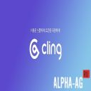 Cling Wallet