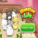 Hamster Life match and home