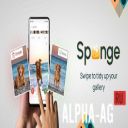 Sponge - Gallery Cleaner