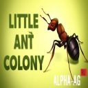 Little Ant Colony - Idle 