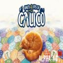 Quilts and Cats of Calico