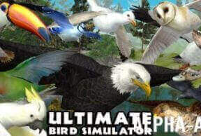 Ultimate Bird Simulator