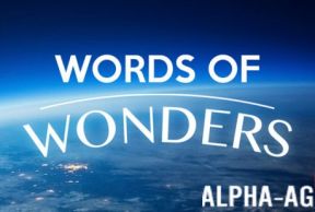 Words of Wonders