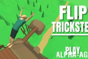 Flip Trickster -  
