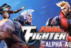 Final Fighter