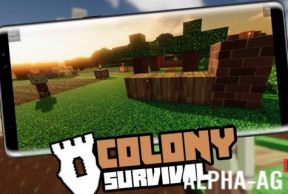 Survival Colony