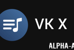 VK X