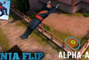 Ninja Flip