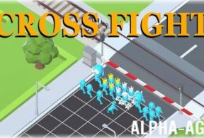Cross Fight