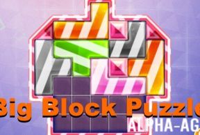 Big Block Puzzle