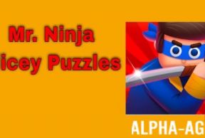Mr Ninja - Slicey Puzzles