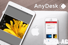 AnyDesk