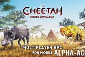 The Cheetah