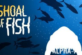 Shoal of fish