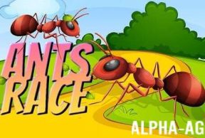 Ants Race