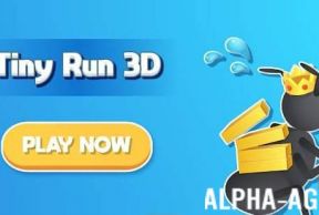 Tiny Run 3D