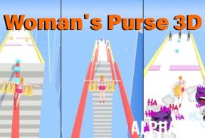 Woman's Purse 3D