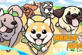 Merge Dogs