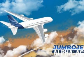 Jumbo Jet Flight Simulator