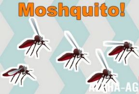 Moshquito!