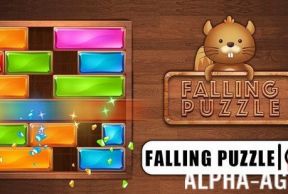 Falling Puzzle